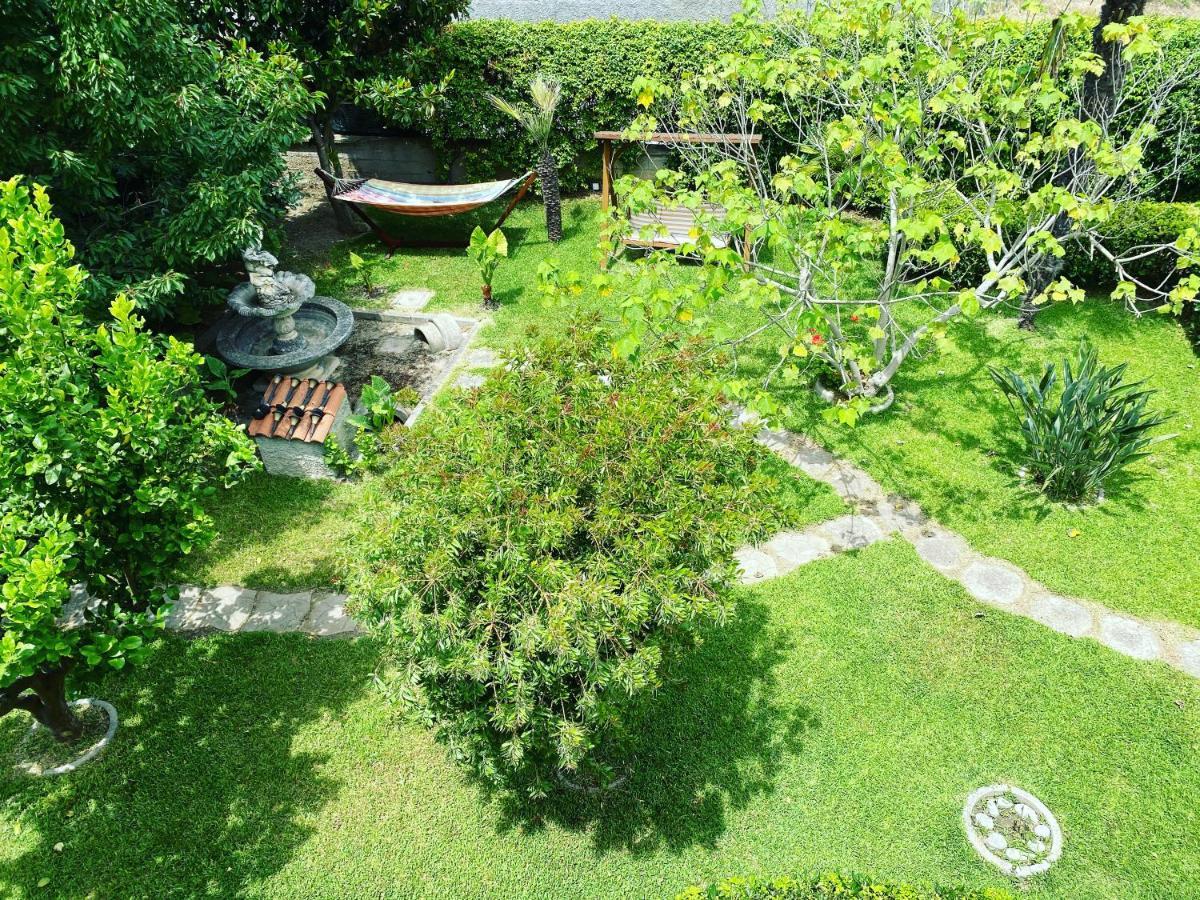 B&B Villa Dei Fiori Санта-Эуфемия-Ламеция Экстерьер фото