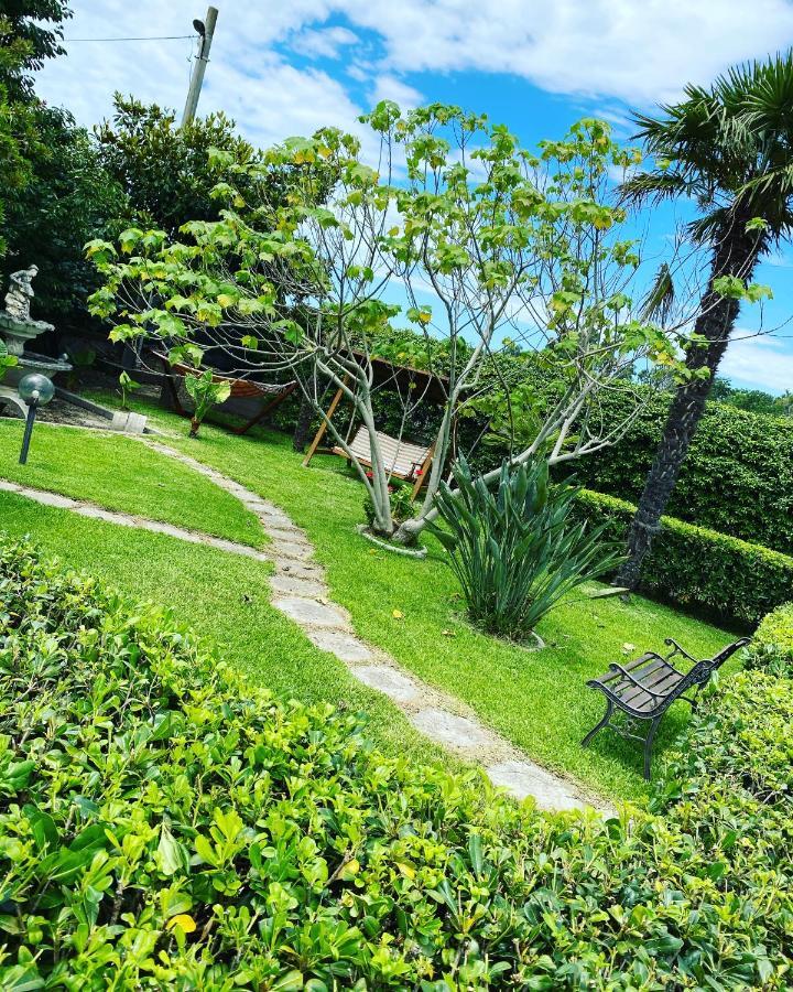 B&B Villa Dei Fiori Санта-Эуфемия-Ламеция Экстерьер фото