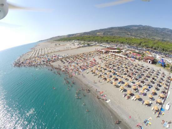 B&B Villa Dei Fiori Санта-Эуфемия-Ламеция Экстерьер фото